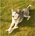 Unsere Nala